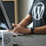 WordPress Dev